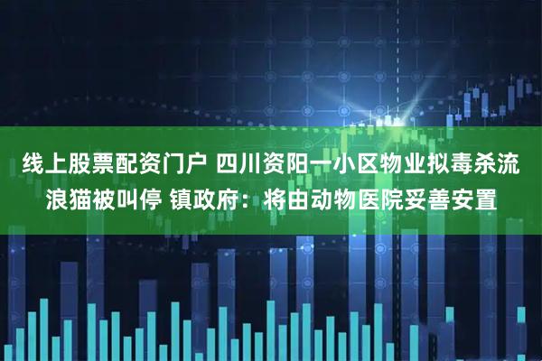 线上股票配资门户 四川资阳一小区物业拟毒杀流浪猫被叫停 镇政府：将由动物医院妥善安置
